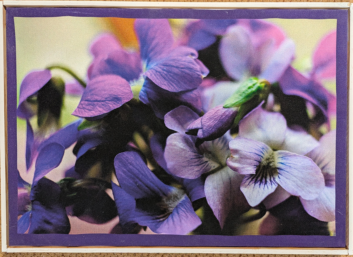 Framed Violets Fabric Print