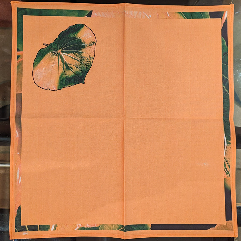 Rainforest (Peach & Green) Placemats & Napkins Sets of Four (4)