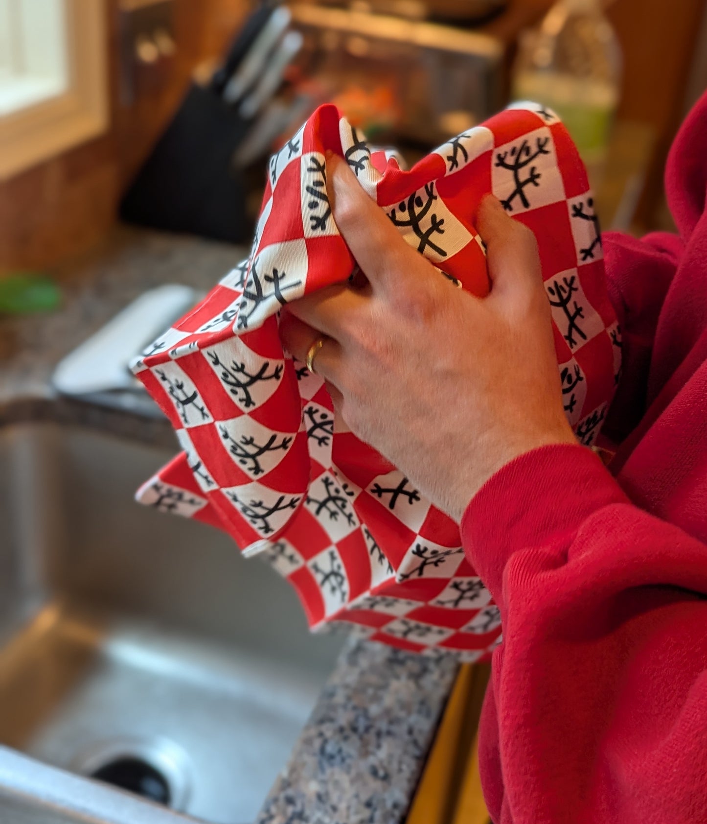 Frogs & Red Checks Dish Towels