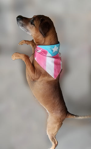 Puerto Rico Flag Kerchief (for Dogs or People!)