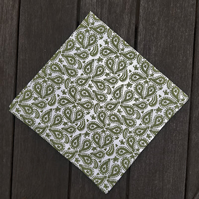 Puerto Rican Paisley Napkins (Sold Individually)