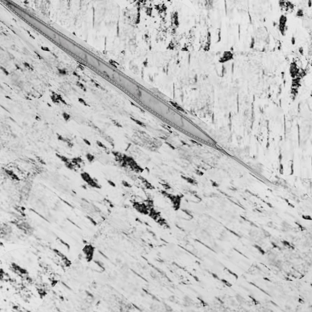 Birch Bark Sheet Set