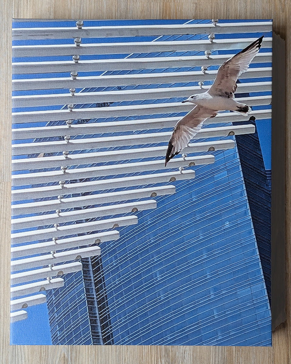 Milwaukee Sea Gull