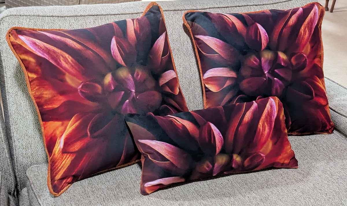 Velvet Dahlia Pillows