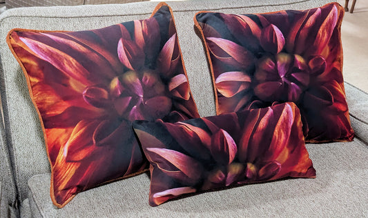 Velvet Dahlia Pillows