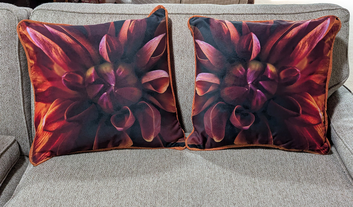 Velvet Dahlia Pillows
