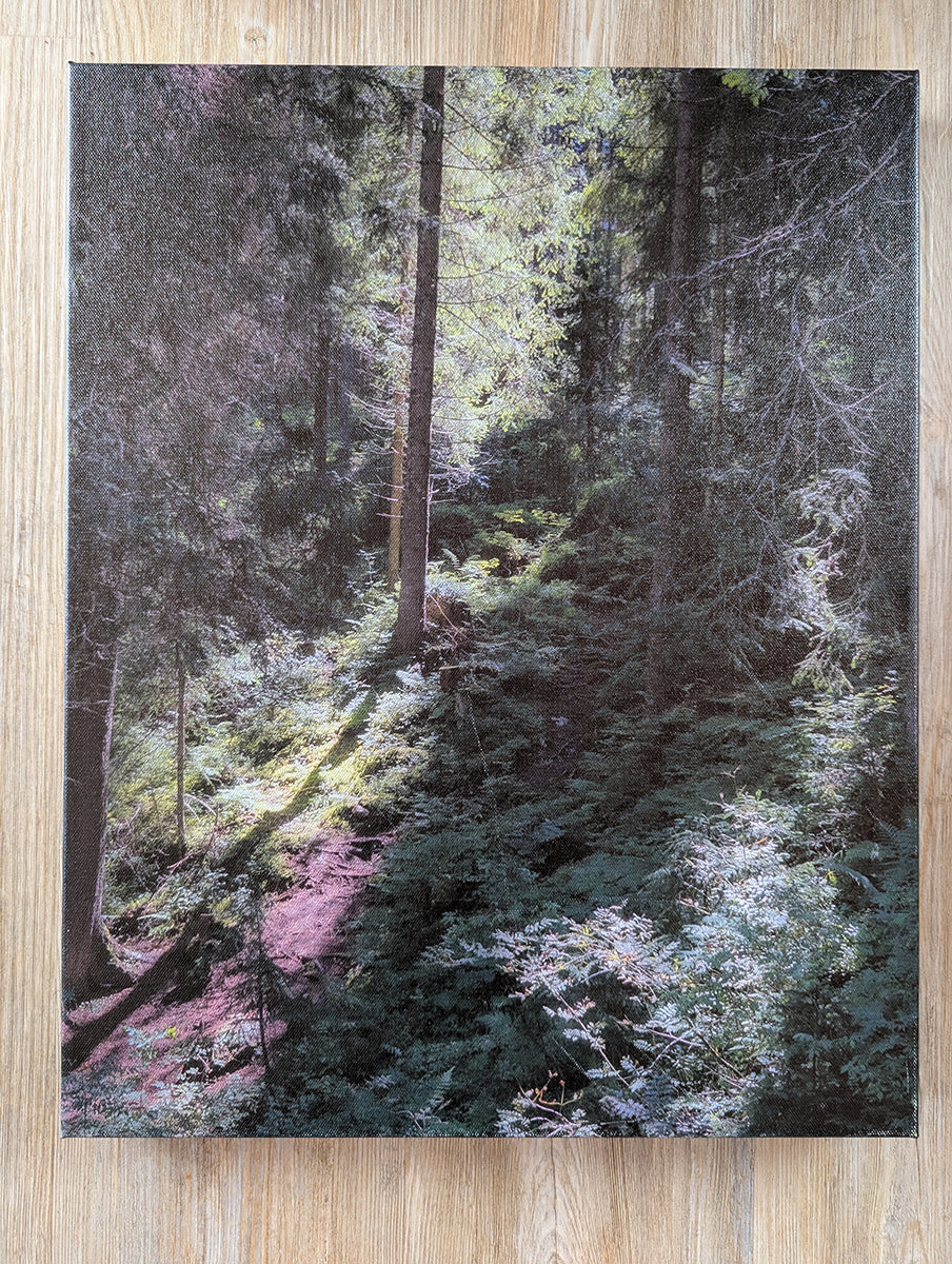 Photo Prints on Canvas