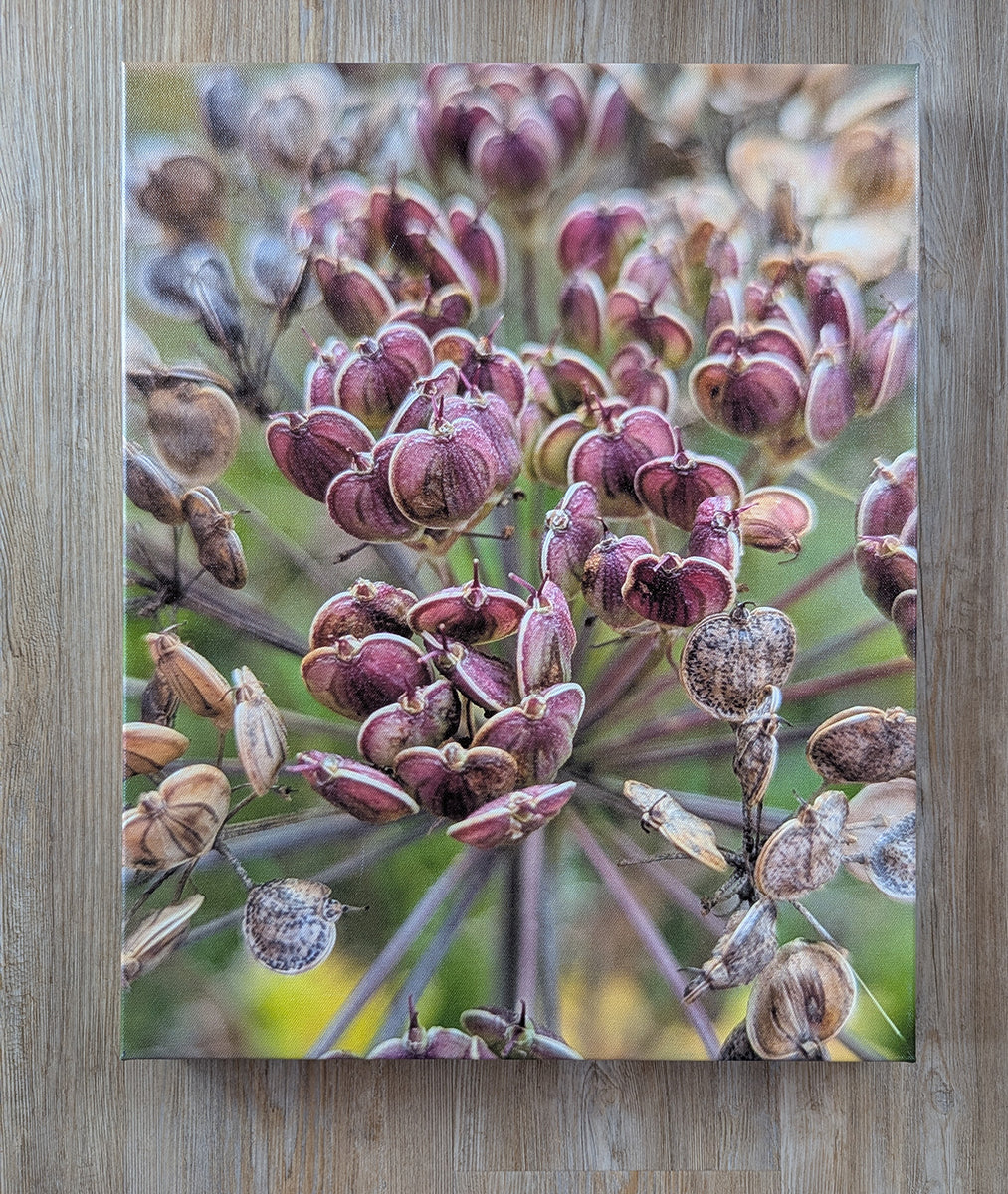 Photo Prints on Canvas