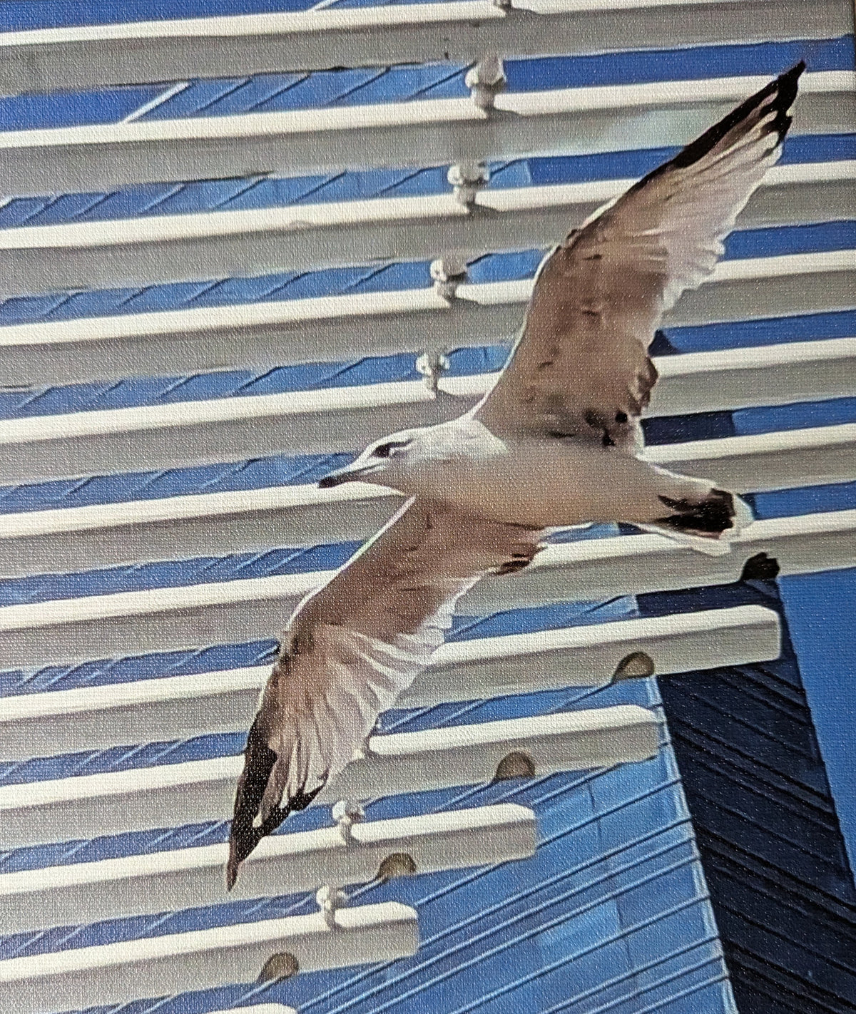 Milwaukee Sea Gull