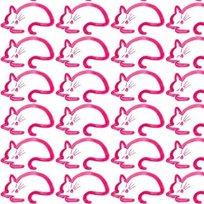 Cats Napping - Design