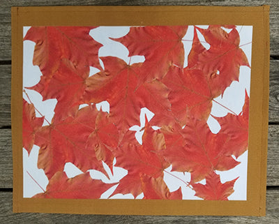 Birch Bark and Maple Leaves Reversible Place Mat (Sold Individually)