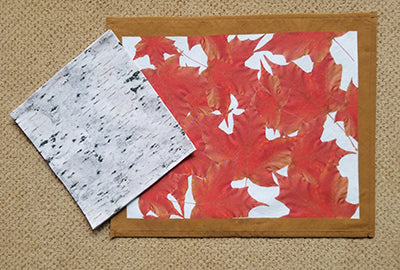 Birch Bark Dinner Napkin  (Sold Individually)